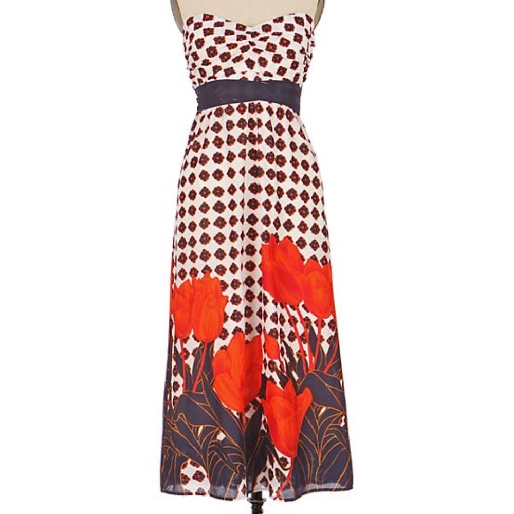 Anth Maeve Tulip Fields Maxi Dress SZ 2